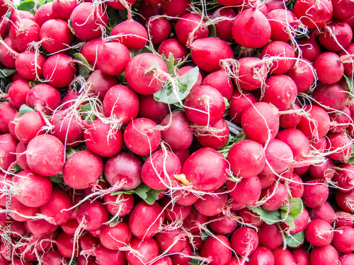 bounches of fresh radishes photo