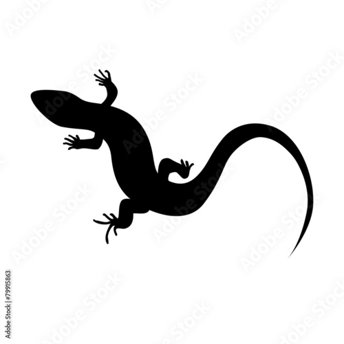 Tableau sur toile Beautiful  monochrome lizard, lizard silhouette. Vector illustra