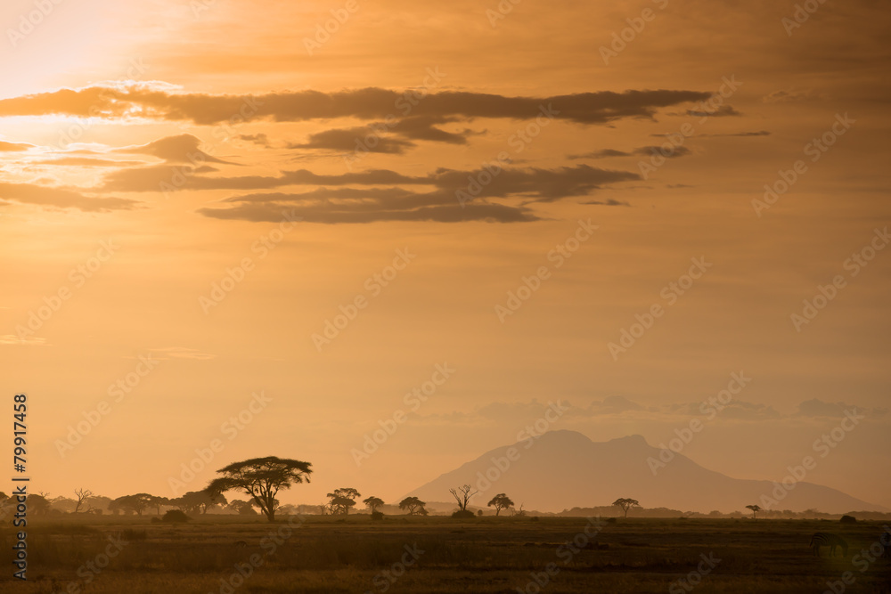 African gold landscape