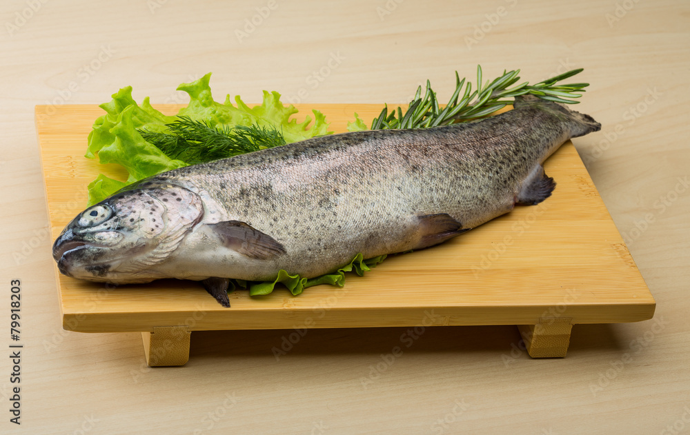 Raw fresh trout