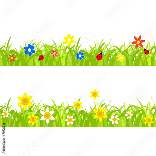 daffodils in grass