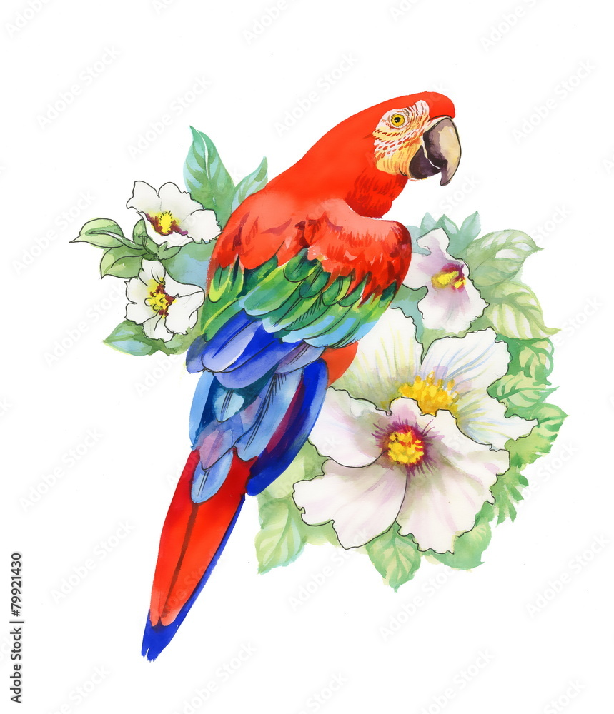 Obraz premium Parrot on flowers, isolated on white background