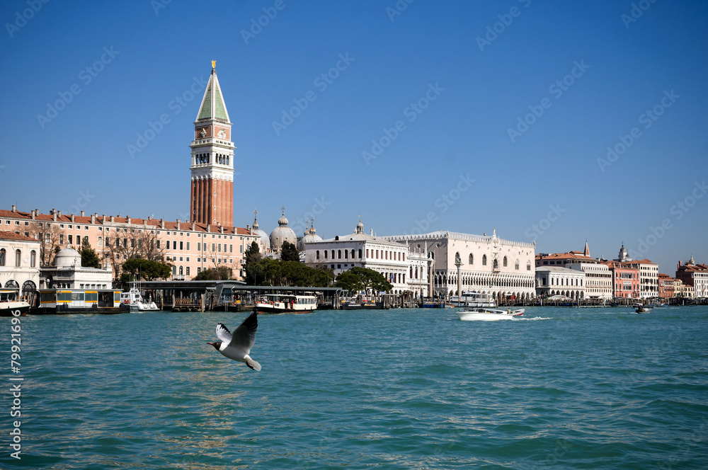Doge's palace and Campanile on Piazza di San Marco, Venice, Ital