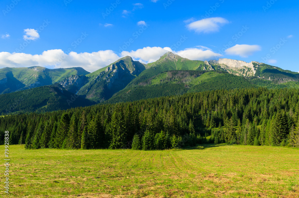 Green summer landscape of Tatra Mountains in Zdiar, Slovakia