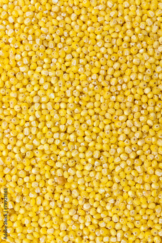 Goldhirse Hintergrund Goldhirse Hintergrund