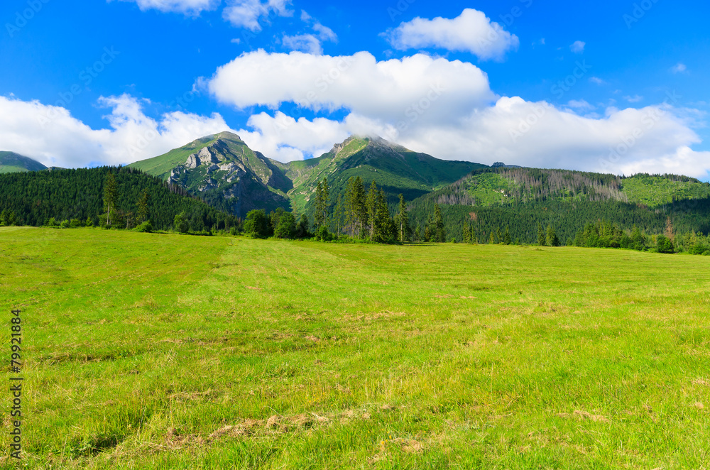 Green summer landscape of Tatra Mountains in Zdiar, Slovakia