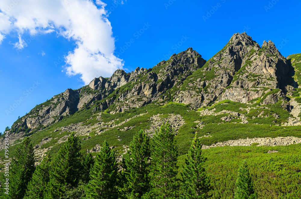Naklejka premium Summer green scenery in High Tatra Mountains, Slovakia