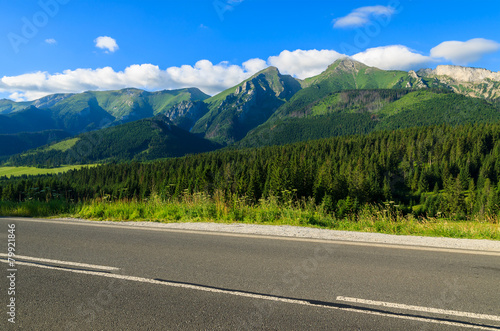 Road in green summer landscape of Tatra Mountains, Slovakia