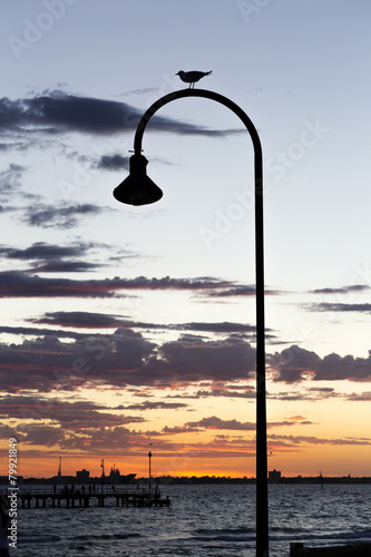 Streetlight with seagull and sunset at the bay