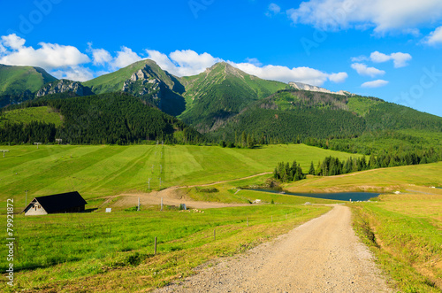 Road in green summer landscape of Tatra Mountains, Slovakia