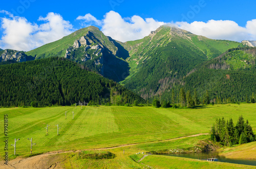 Green summer landscape of Tatra Mountains in Zdiar, Slovakia