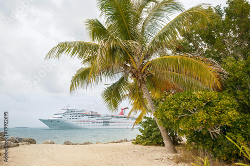 Cruise Ship By The Beach With Palm Trees