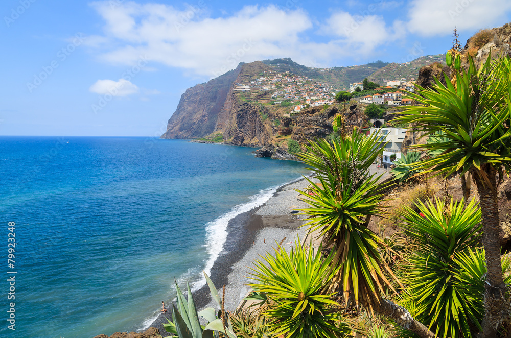 Tropical plants on coast of Madeira island in summer, Portugal