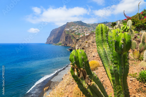 Tropical plants on coast of Madeira island in summer, Portugal photo