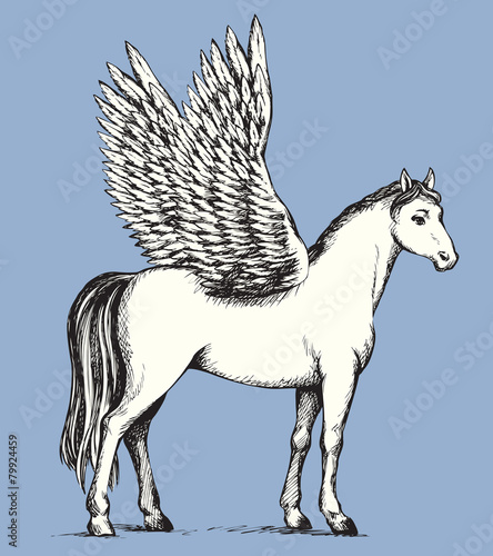 Pegasus. Vector drawing