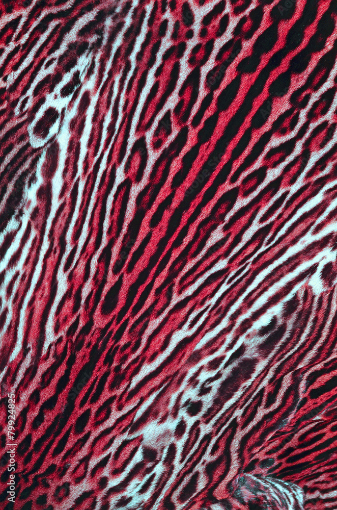 pellliccia di leopardo con colore artificiale pellliccia di leopardo con colore artificiale