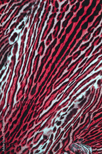 pellliccia di leopardo con colore artificiale
