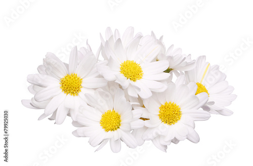 pile of chamomile flower isolated on white background © bestvc