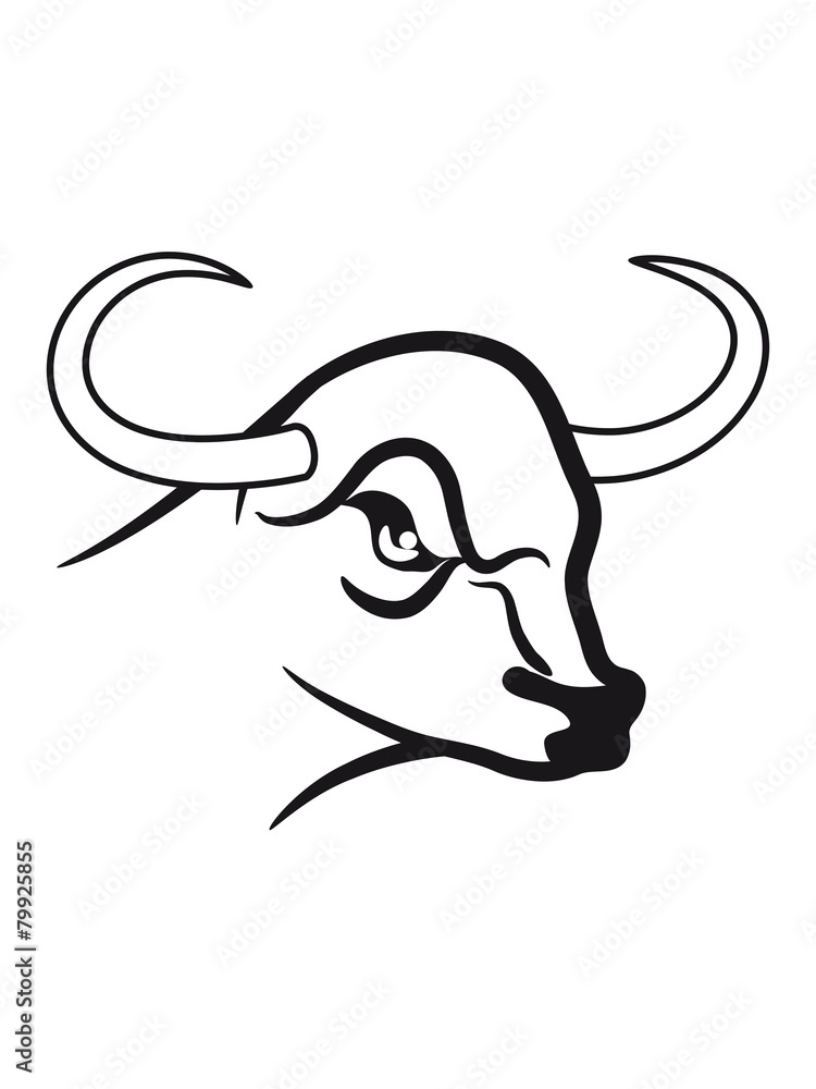 Fototapeta premium Taurus Taurus zodiac horoscope signs dangerous