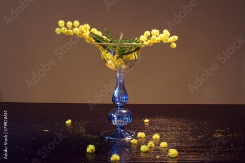 Mimose nel bicchiere