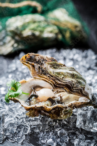Delicious oysters on ice