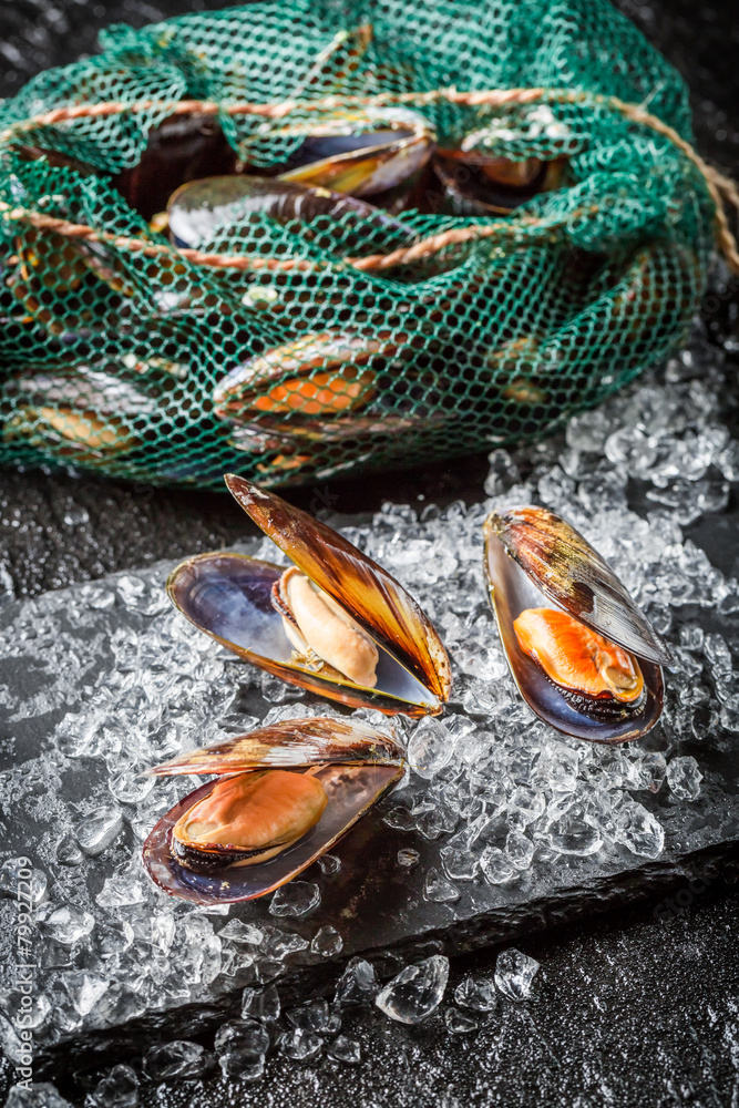 Naklejka premium Fresh mussels on crushed ice