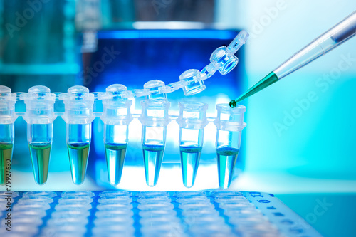 Tablou pe pânză Tubes for DNA amplification