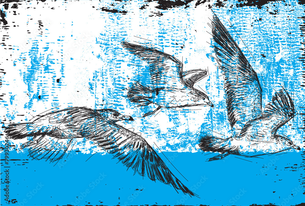 Fototapeta premium Seagulls flying