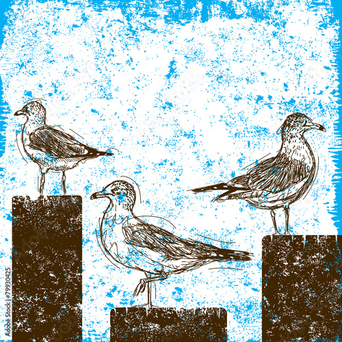Seagulls on pilings