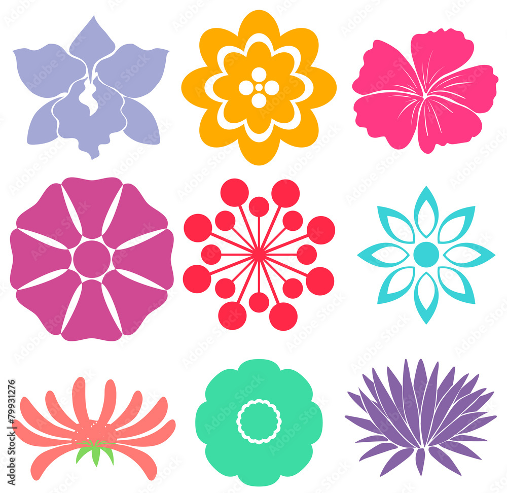 Fototapeta premium Floral templates