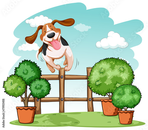 Dog jumping over the fence