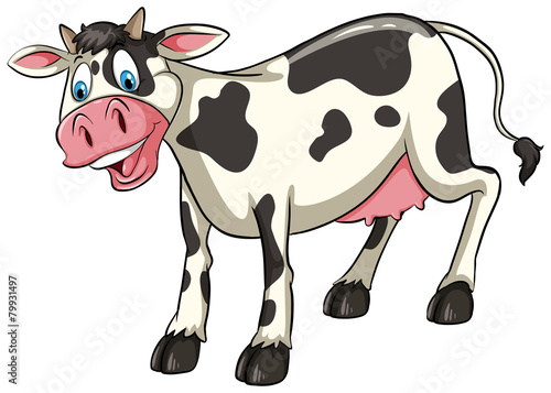 Smiling cow
