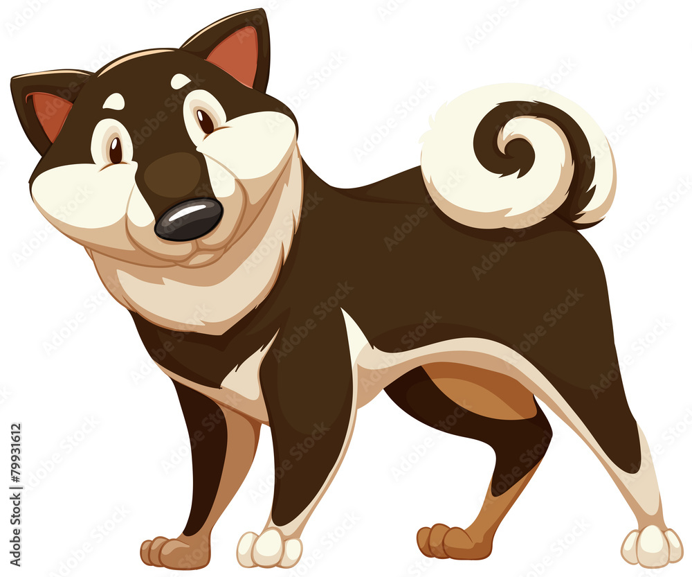 Obraz premium Lovable brown dog