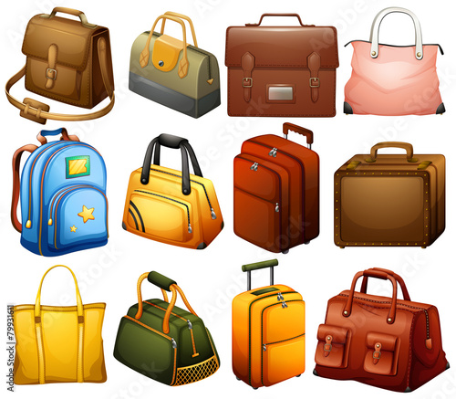 Collection of different bags