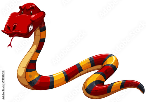 Colourful scary snake