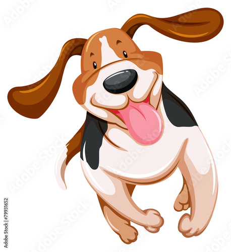Playful puppy