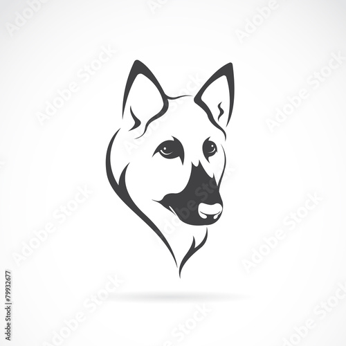 Vector of a german shepherd face on white background. Dogs. Animals.