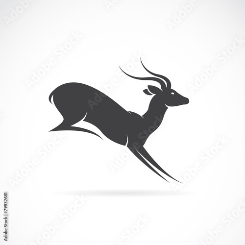 Vector image of deer design on white background