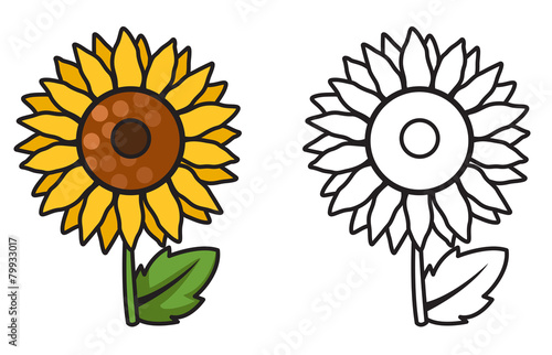 colorful and black and white sunflower for coloring book