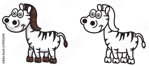 colorful and black and white zebra for coloring book