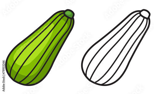 colorful and black and white zucchini for coloring book