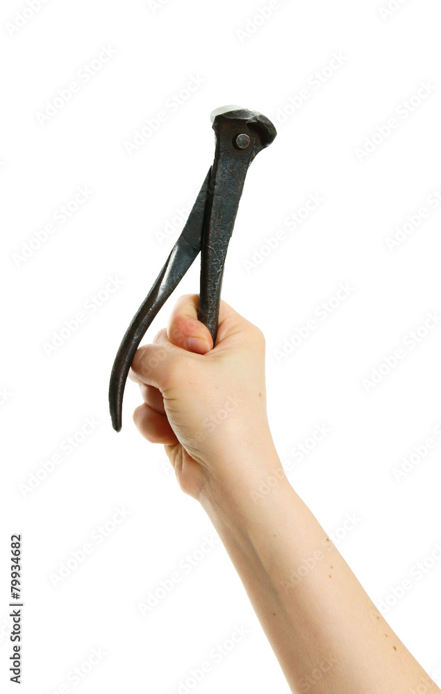 Obraz premium Pliers in hand on white background.