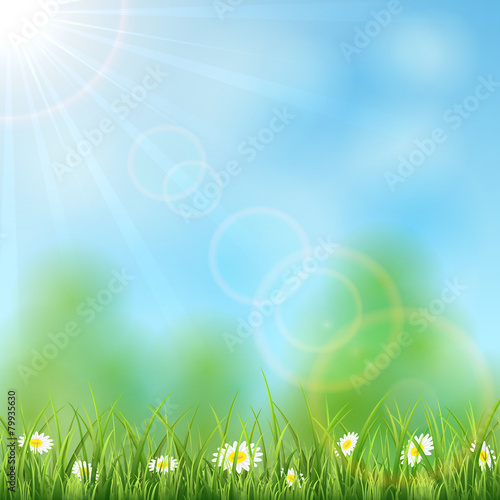Nature background with Sun and grass © losw100