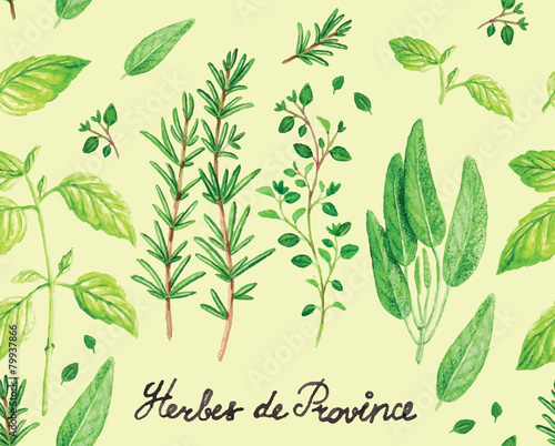 Watercolor Spicy Provence Herbs Pattern Vector illustration