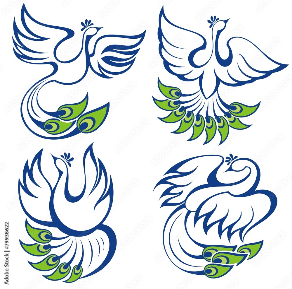 Vector illustration of peacocks Vector illustration of peacocks