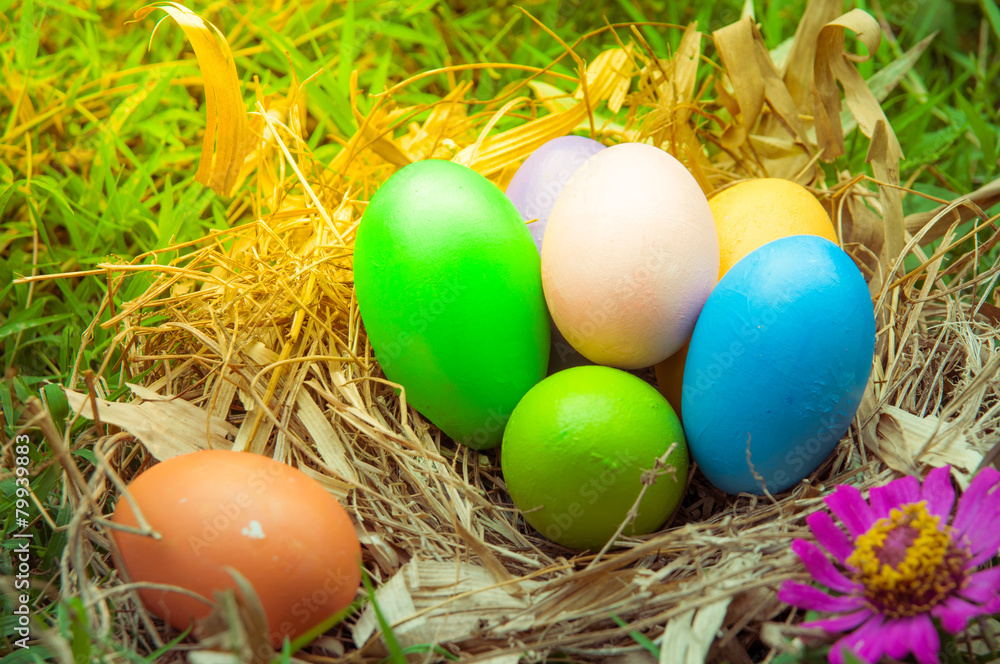 Easter eggs in net