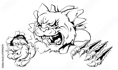 Wildcat ripping through wall