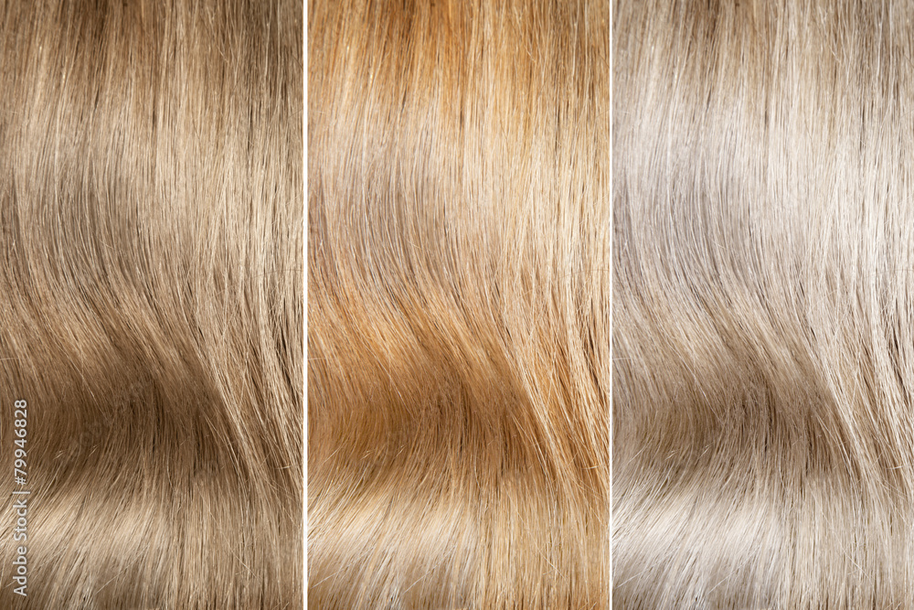 Hair colors palette blonde hair Stock Photo | Adobe Stock