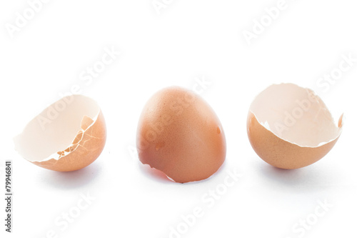 eggs shell isolated