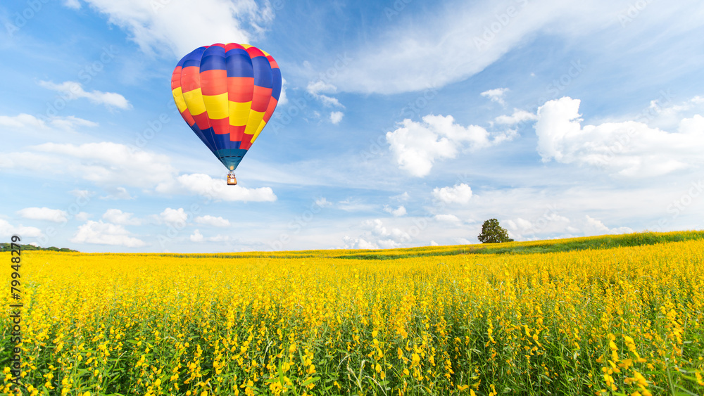 Obraz premium Hot air balloon over yellow flower fields against blue sky